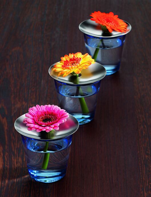 Mono Conglas Edelstahlaufsatz für Blume